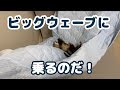 【フェレット】巨大ハンモックでゆらゆら