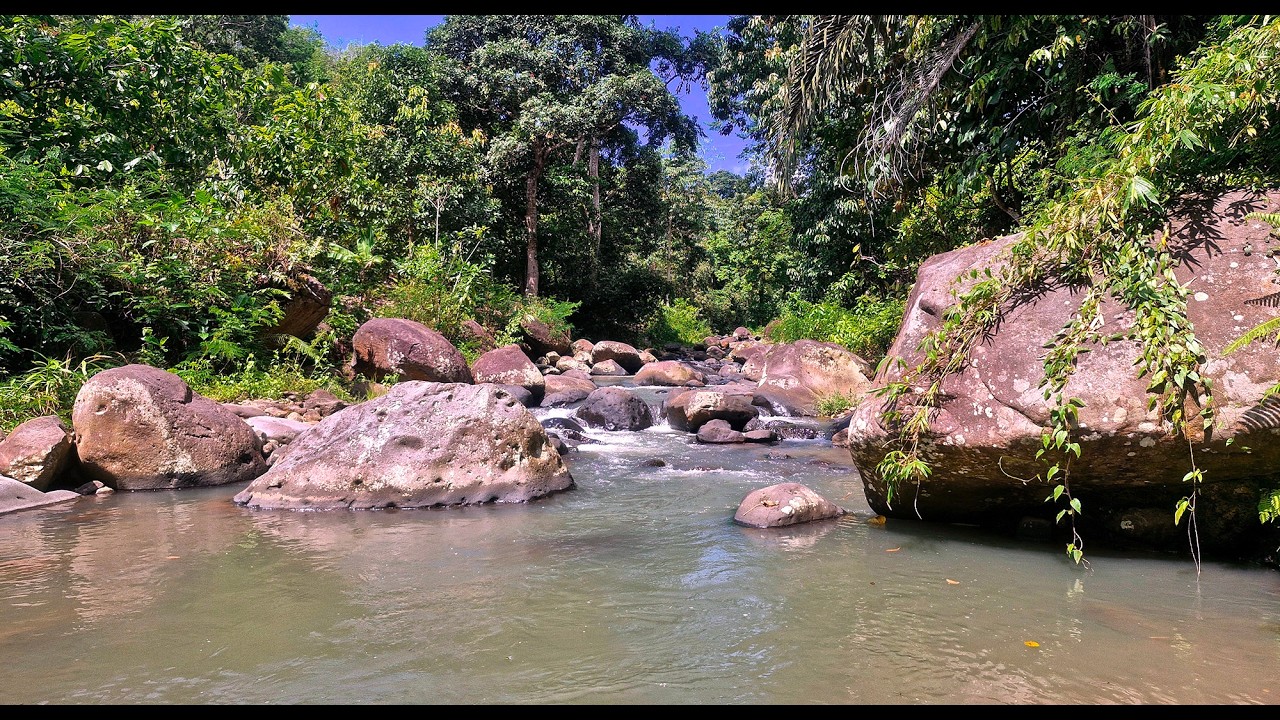 🌿Relax Completely and Sleep Better with Peaceful Nature River Ambience