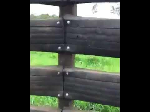 Малын хашаа - YouTube