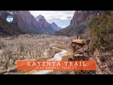 Kayenta Trail - A Surprisingly Beautiful Hike in Zion National Park
