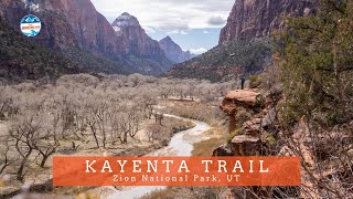 Kayenta Trail  A Surprisingly Beautiful Hike in Zion National Park
