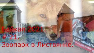 Байкал 2021.  Зоопарк в Листвянке.