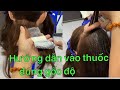 Hướng dẫn vào thuốc, uốn, duỗi , nhuộm