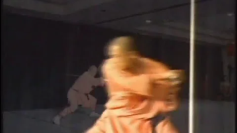 Shaolin Warrior Monk Shi Xinghao