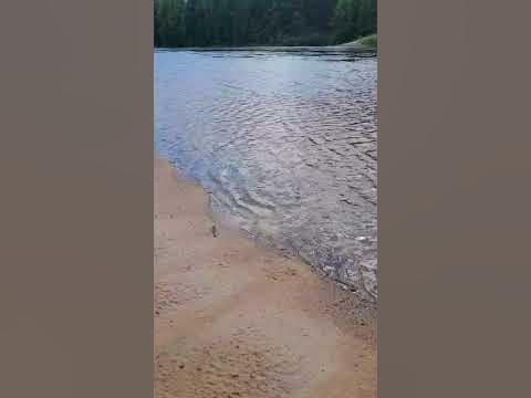 Река Керженец на экскурсионной тропе "Пойма Керженца" 🌲 Нижегородская ...