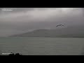 2025 07 10 Nelson Timelapse Camera 2025 07 10 Nelson Timelapse Camera