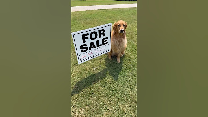 My dog sold my house!
