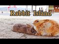 The Cutest Place in Japan: Rabbit Island (Okunoshima) // Japan Travel Guide