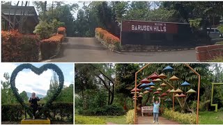 Objek Wisata Barusen Hills Ciwidey 2025#wisata#ciwidey#barusenhills