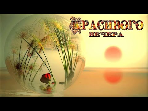 Летний вечер