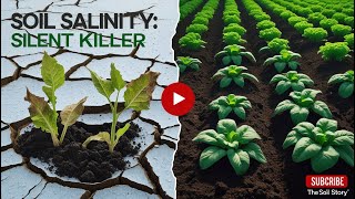 Soil Salinity: Causes, Solutions & Recovery for Healthy Crops @Soil_Story1