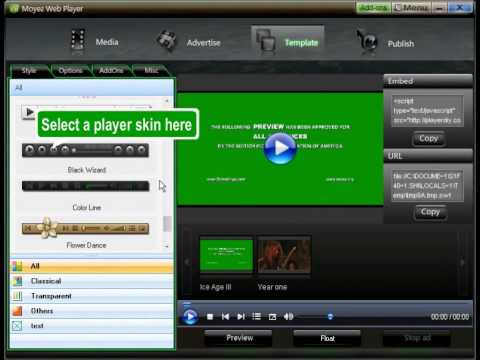 Customize Skinning Flash Video Player For Website With No Coding Needed