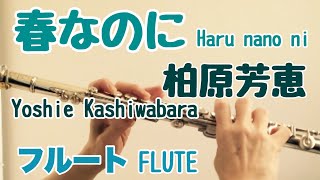 春なのに/柏原芳恵【フルートで演奏してみた】Haru nano ni/Yoshie Kashiwabara 中島みゆき 作詞 作曲