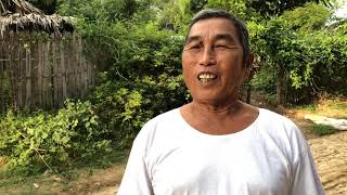 Voice of Stakeholders: Why Forest?