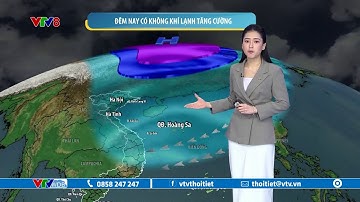 Dự báo thời tiết biển ngày 14/01/2025 | Đêm nay không khí lạnh tăng cường | VTVWDB