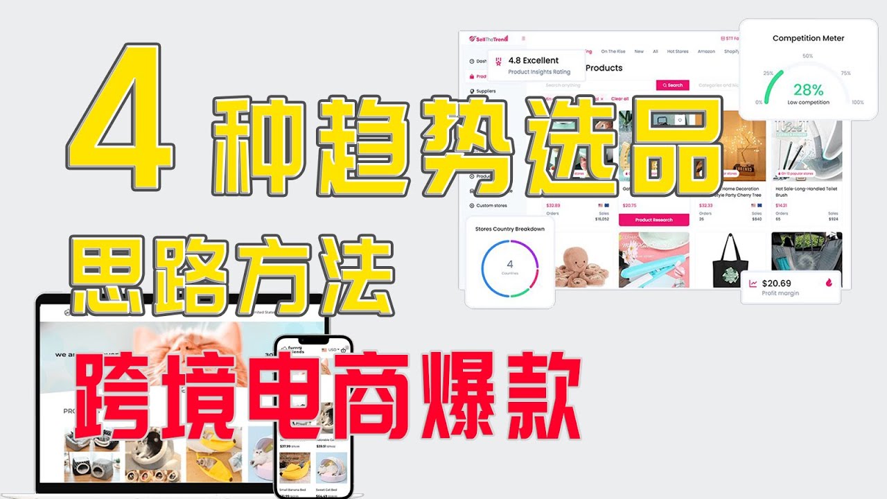 四种爆款产品选品方法,发现Trending Products, 独立站选品, Shopify选品策略经验分享 - YouTube