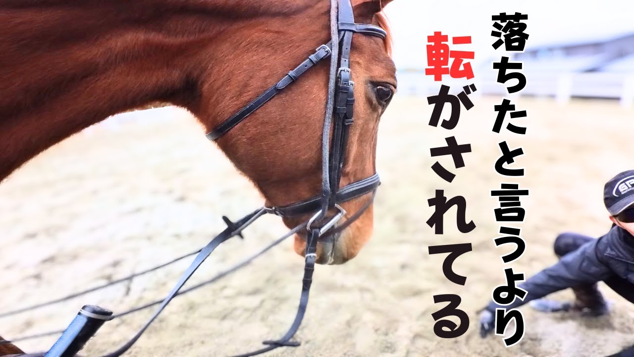 「乗馬」落ちたと言うより転がされてる