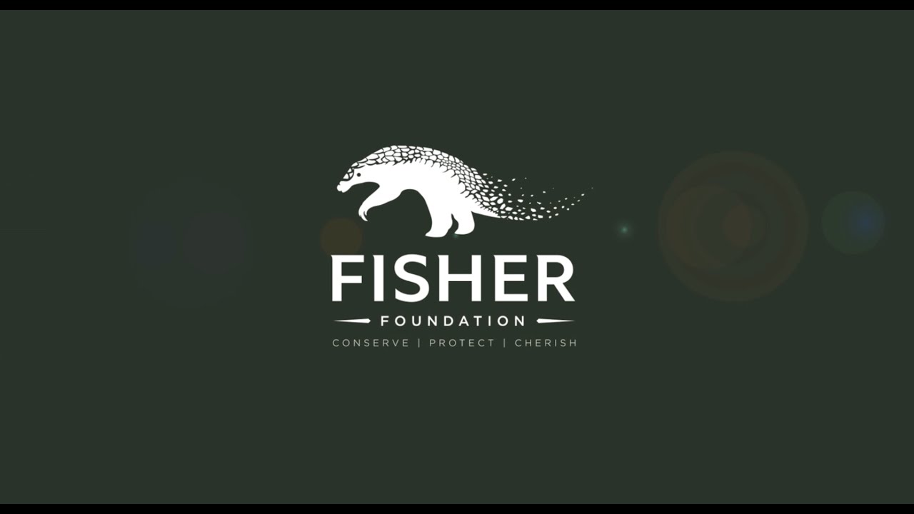 FISHER FOUNDATION ELEPHANT TRANSLOCATION