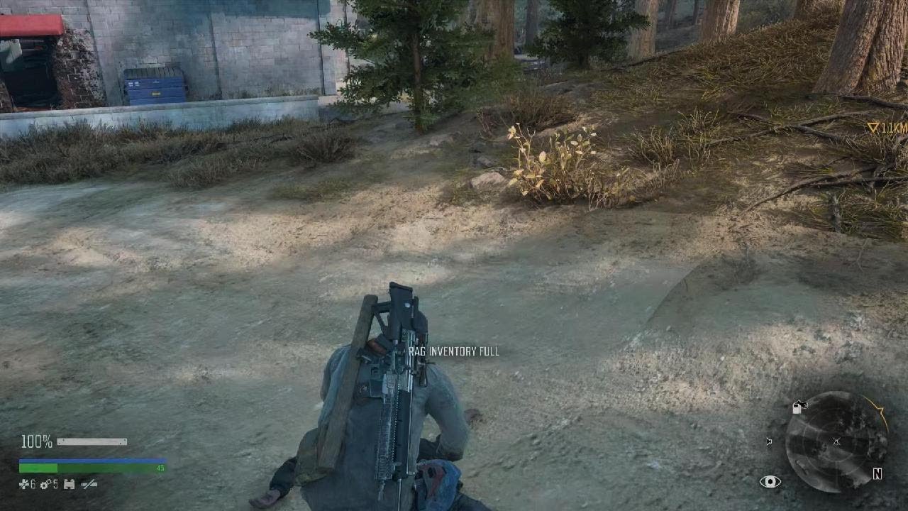 DAYS GONE - PS5 - Gameplay - Pt 37