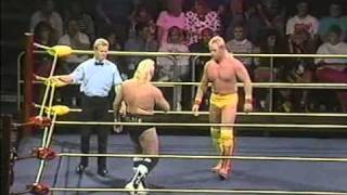 Smoky Mountain Wrestling - 02/01/92 - Part 2 Profile