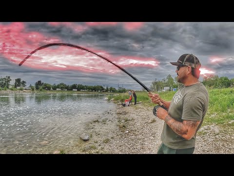Bridges & ‘Bamas & Becks (multispecies beatdown w/ senior player technique) ft. Nates Baits