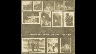 Prosumer &amp; Murat Tepeli Feat. Elif Biçer ‎– Turn  ‎ Around (dub)