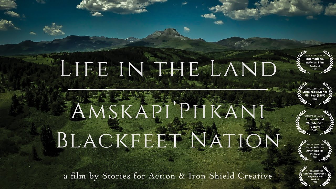 Life in the Land: Blackfeet Nation - Amskapi'Piikani - Montana, full film