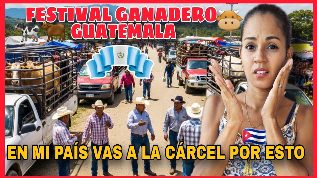 🎉FESTIVAL GANADERO🐮en GUATEMALA🇬🇹En mi PAÍS🇨🇺 vas a la CÁRCEL⛓️por esto🐂@reaccionesdedari @Guatemala
