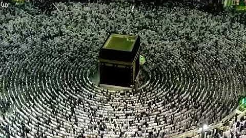 الشيخ ماهر المعيقلي تلاوة كرديه جميله من سورة "مريم الآية ٧٧ "