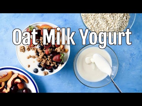 how-to-make-oat-milk-yogurt//-super-thick-and-creamy