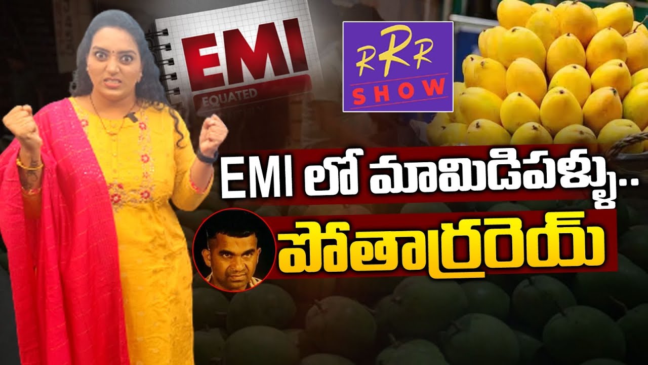 Are Alphonso Mangoes Available Now Are Alphonso Mangoes Available Now