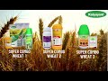 Super saver pack of wheat crop by katyayani organics  for flowering fruiting  vegetative stage