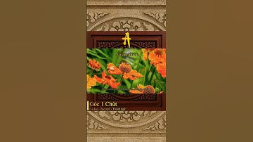 A | Ca dao - Tục ngữ - Thành ngữ | 03 #cadao #tucngu #thanhngu #vanhoa #vietnam #baihoccuocsong