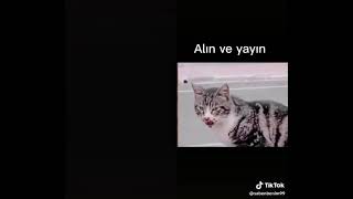 İnsanlık Bitmiş Orospular