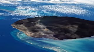 Is The Devil Comet Hitting Earth? and It is huge #dangerous #physics