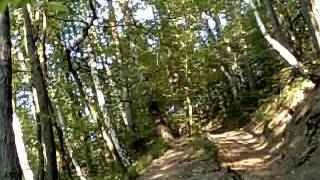 Echo of Bach ( Prelude No.4)