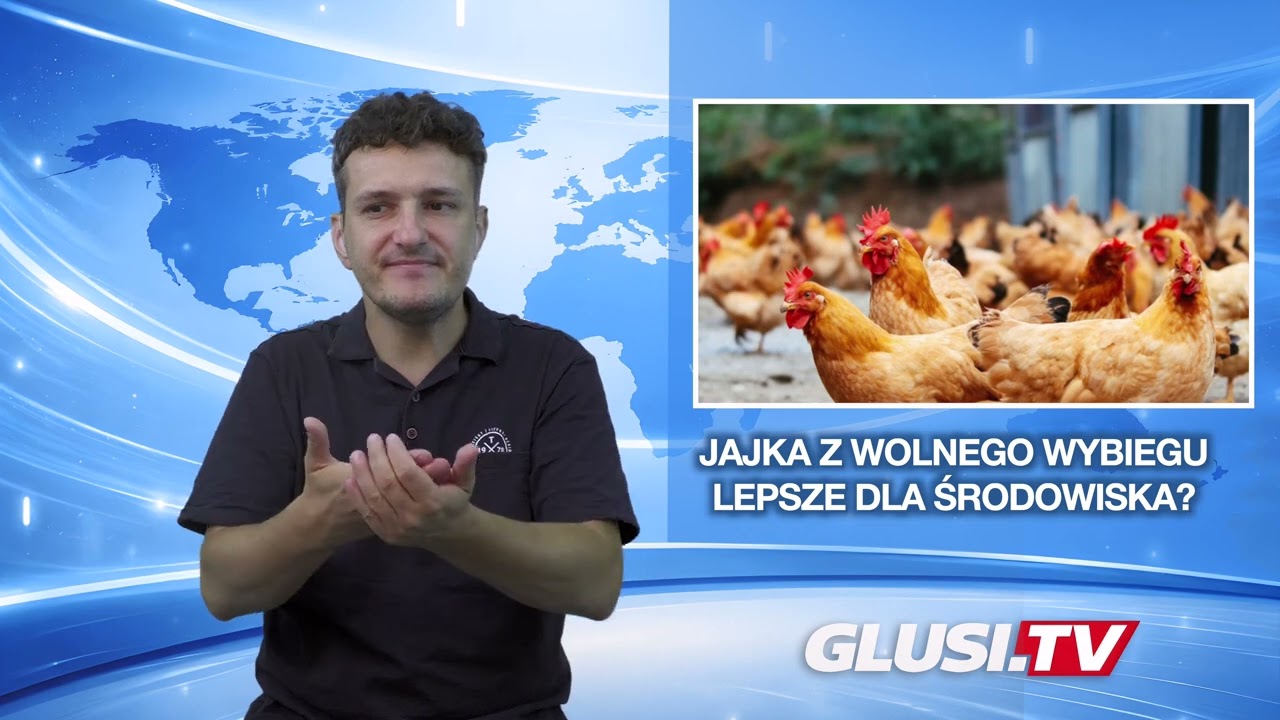 Jajka z wolnego wybiegu lepsze dla środowiska?