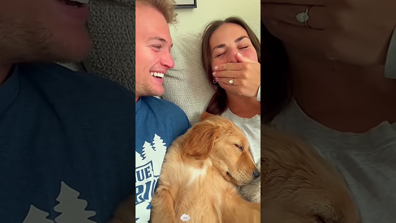 Guess what dogs dream about?🐶🤣