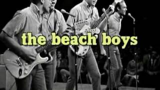 The Beach Boys  - Fun, Fun, Fun,