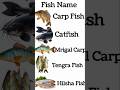 Fish Name #shortvideo #viralvideo #viralshorts #tranding #youtubeshorts #shorts #education #reels