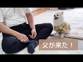 父親が家に遊びに来ました！！