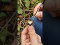 Spider POV: Web Trap Attack 🕷️ Real Life Hunting Scene 😱 #shorts #viral #trending #spider #pov #yt