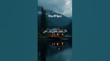 #عبدالرحمن_مسعد #سورة_السجدة #لايك #اكسبلور #قرآن #راحة_نفسية