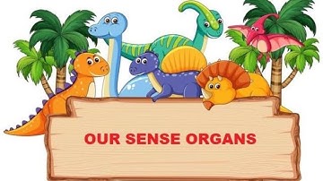 CLASS 2 | OUR SENSE ORGANS | EVS | EXPLAINER VIDEO