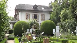 Rousseau au Jardin botanique