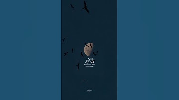 نبئ عبادي اني انا الغفور الرحيم ..#هزاع_البلوشي  | #سورة_الحجر