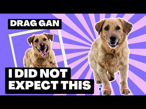 DragGAN - Next-Level Image Editing Like You've Never Seen Before! Quick Demo