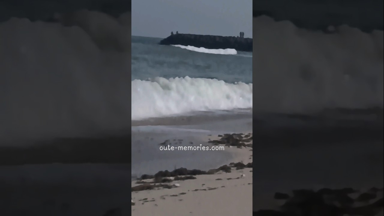 Toofan - UAE Sharjah Heera Beach ⛱️#sharjahbeach #uaebeach