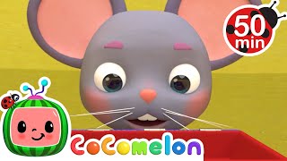 CoComelon - Head Shoulders Knees and Toes | Learning Videos For Kids | Education Show For Toddlers