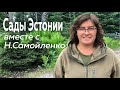 Сады Эстонии вместе с Н.Самойленко